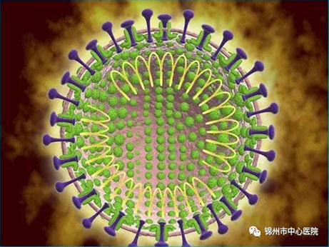 【健康科普】關(guān)于新型冠狀病毒感染肺炎，你應(yīng)該知道的